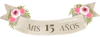 Icono 1